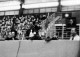 Thumbs/tn_69 (37).jpg